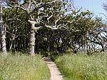 West coast of Sjaelland