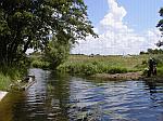 Halleby creek Sjaelland