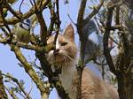 Being watched